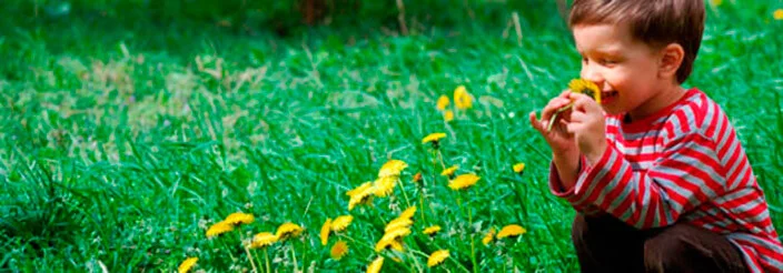 Niño pequeño oliendo unas flores en el campo