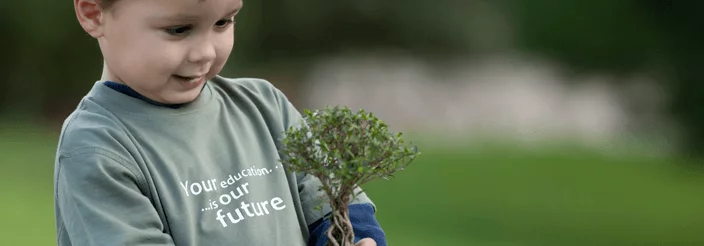 Respetando el medio ambiente