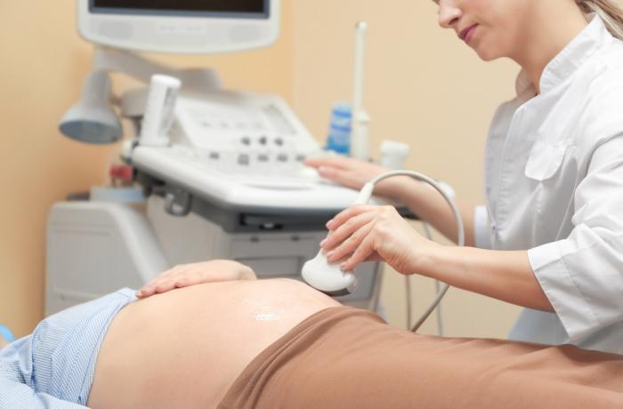 Semana 6 de embarazo: ya puedes escuchar el latido de tu bebé en la  ecografía